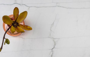 NEOLITH Mont Blanc