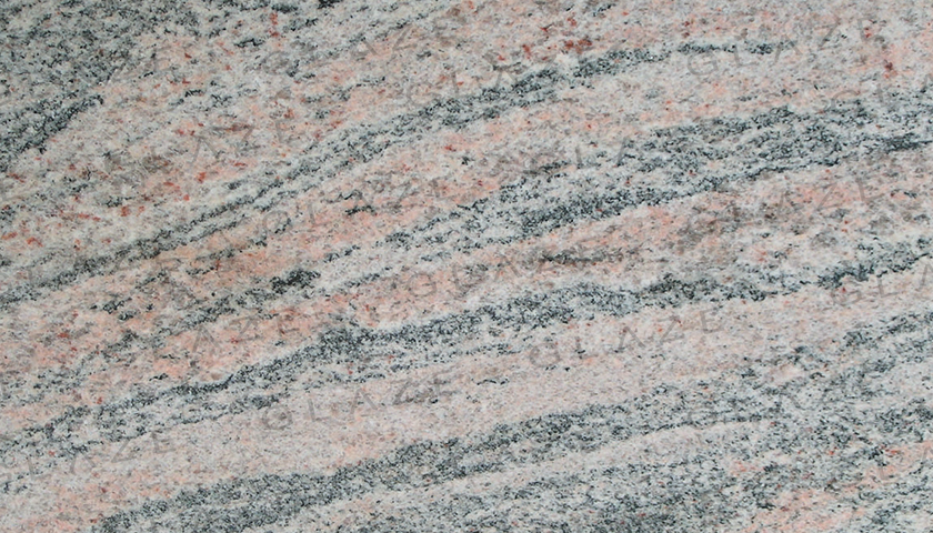 Pink Juprana / Indian Juprana