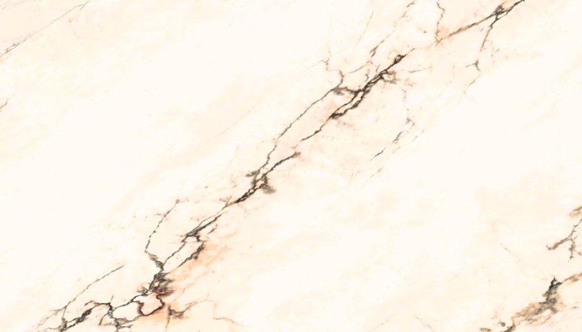 ARIOSTEA Paonazzetto S