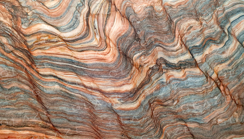 Fusion Multicolor