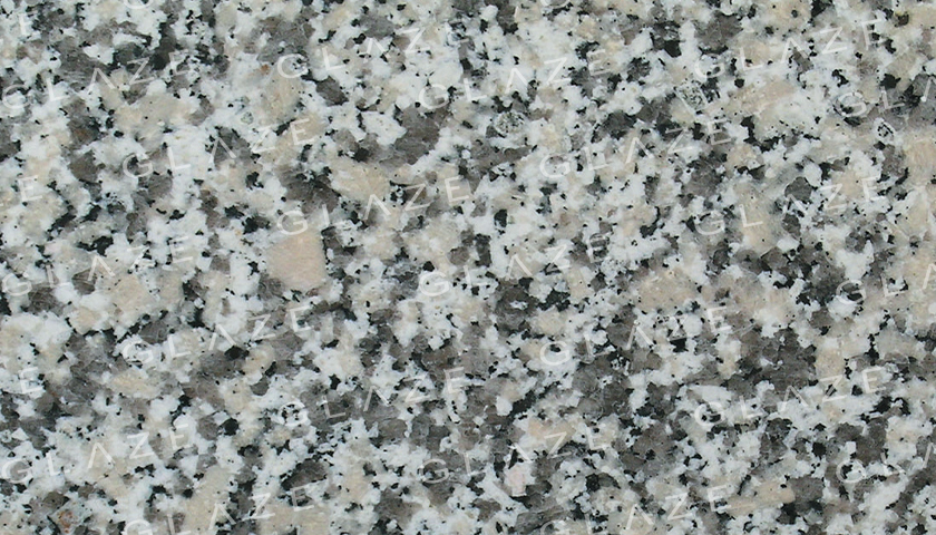 Grey Sardo (Italy)