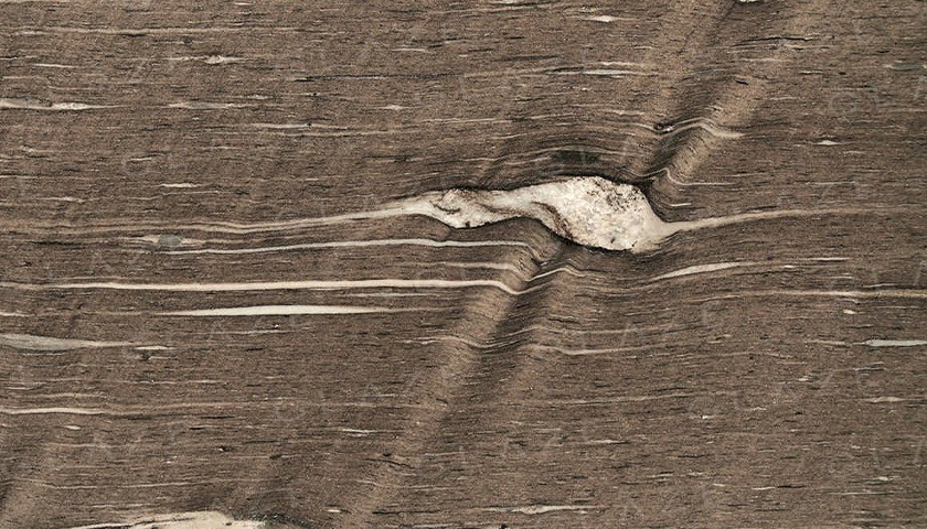 Brown Silk