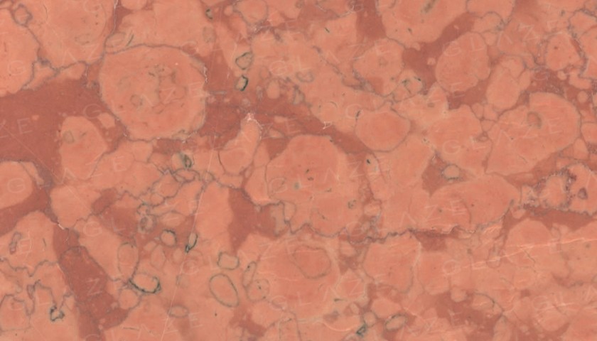 Rosa Verona