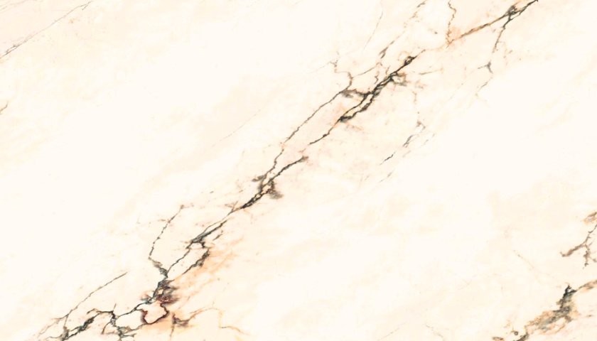 ARIOSTEA Paonazzetto S