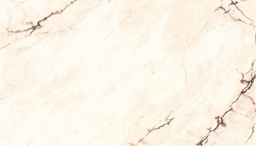 ARIOSTEA Paonazzetto S
