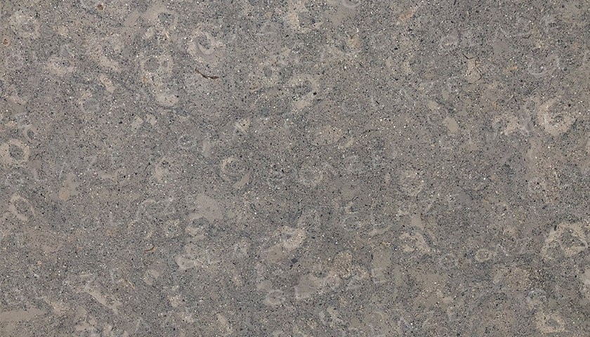 Cenia Grey