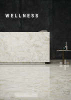ARIOSTEA White Quartz