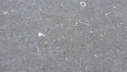 Gris Catalan
