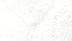 ARIOSTEA Michelangelo Altissimo
