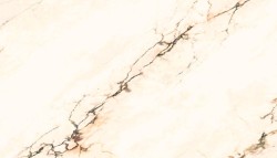 ARIOSTEA Paonazzetto S
