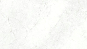 ARIOSTEA Michelangelo Altissimo