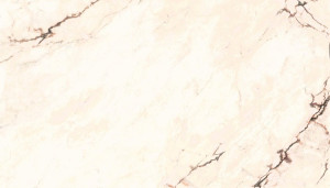 ARIOSTEA Paonazzetto S