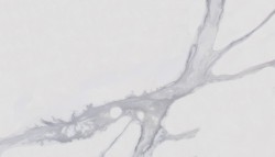 Quartz KOZO Statuario Furrer